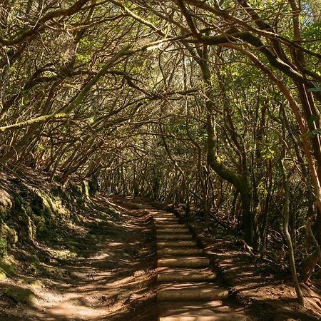 Appartamento Oasis Brisa Marina Bajamar  Esterno foto
